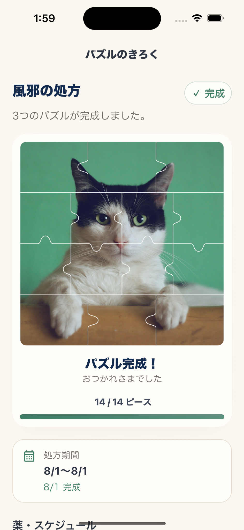 記録詳細